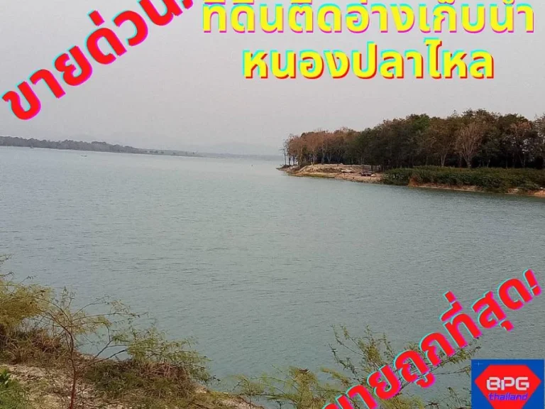 ขายที่ดินระยอง ปลวกแดง 12-3-39ไร่ ติดอ่างเก็บน้ำหนองปลาไหลขายถูกด่วน