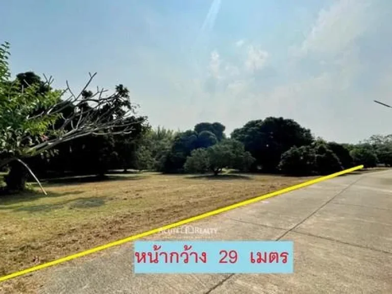 ที่ดินพร้อมต้นลำไย หมู่บ้านสันทรายออร์เชิร์ดแม่โจ้