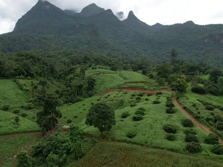 ขายที่ดินเนินเขาแปลงสวย7ไร่ ติดดอยหลวง วิวภูเขาล้อมรอบสวยงาม ใกล้ถ้ำเชียงดาว ล้อมรอบด้วยสถานปฏิบัติธรรม รีสอร์ทมากมาย