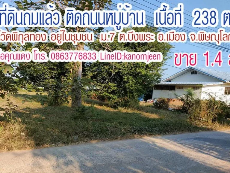 ที่ดินเปล่าถมแล้ว ติดถนน ติดชุมชน ใกล้วัดพิกุลทอง 238ตรว ม7 ตบึงพระ อเมืองพิษณุโลก ขาย 14ล้าน