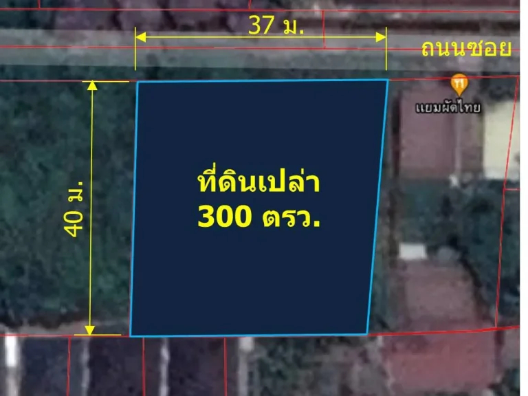 ขายที่ดินเปล่า 300 ตรว ใกล้ มแม่โจ้ ตหนองจ๊อม อสันทราย จเชียงใหม่