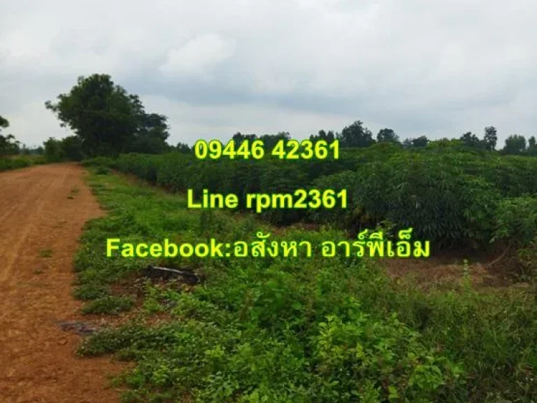 ขายไร่ละ 120000 ที่ดินเนื้อ 5ไร่ 61ตรว หนองแซง เขตหันคา