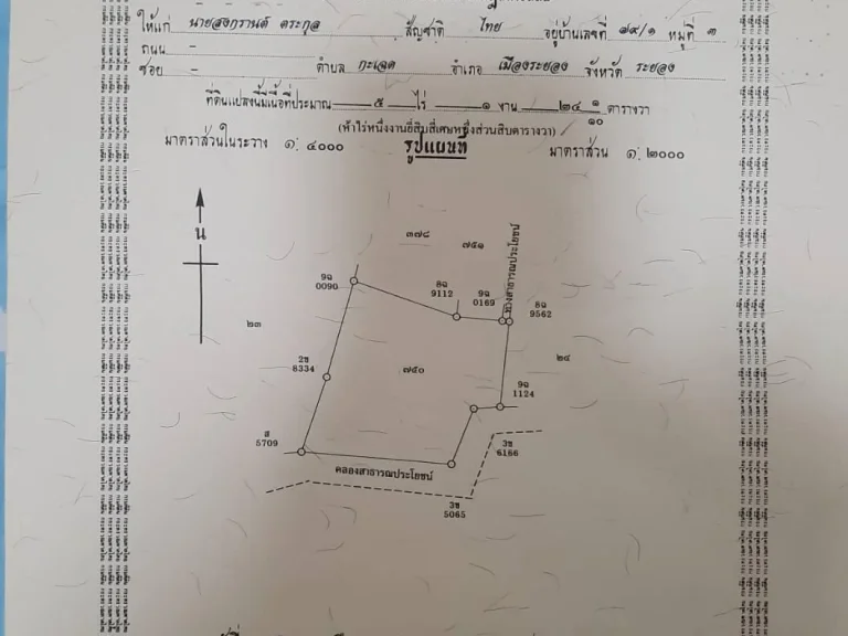 ขายที่ดินเปล่า5ไร่1งาย อยู่ สำนักทอง-กะเฉด ซอยไปดีมาดี1เมือง ระยอง