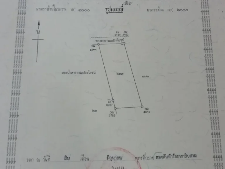 ขายที่ดินสวน4ไร่ อยู่ป่ายุบใน-ท่าเสา วังจันทร์ ระยอง