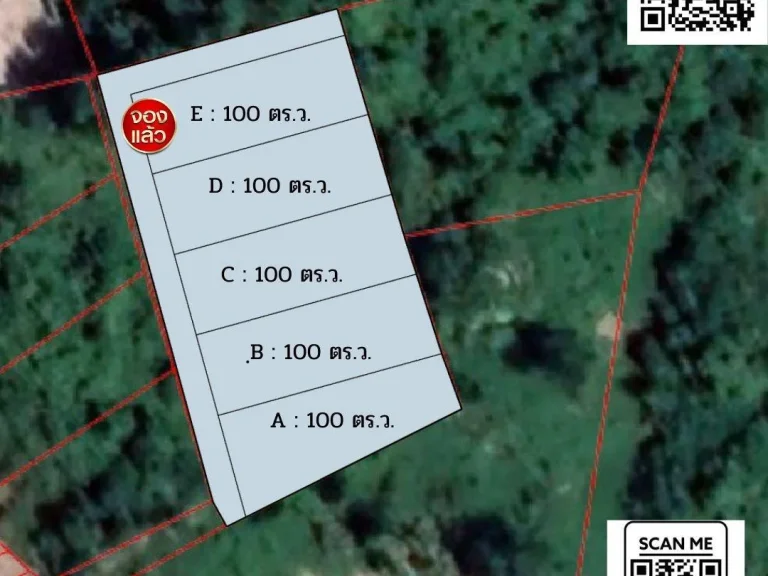 ขายที่ดินเมืองตาก หลังเรือนจำ 100 ตรว 5 แปลง เจ้าของขายเอง พัฒนาพร้อมเข้าอยู่ เปิดจองแล้ว