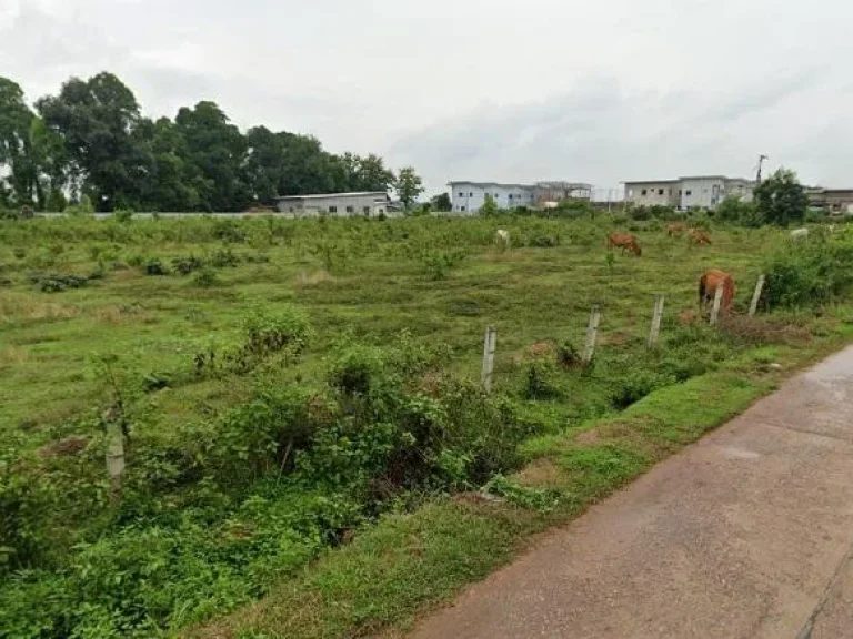 ที่ดินเปล่า ในซอยตรงข้ามหมู่บ้านสุขภิรมย์ บ้านน้อยใต้ จนครพนม