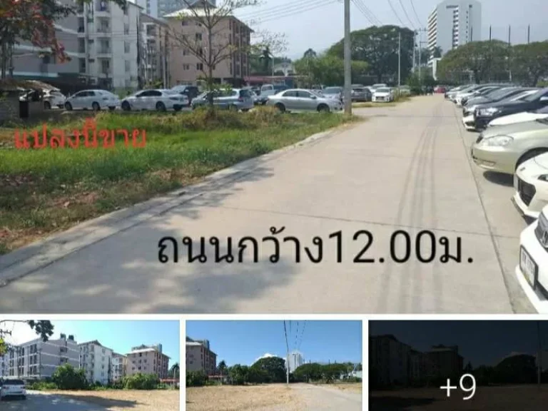 ขายที่ดินกลางเมืองเชียงใหม่276ตรวอยู่ข้าง มราชภัฏเชียงใหม่ผังเมืองโซนสีแดงสร้างอาคารสูงได้