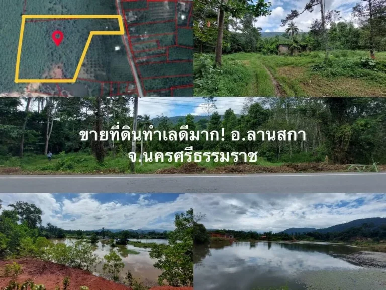 ขายที่ดินทำเลดีมาก สวนยางพารามังคุด 19 ไร่เศษ วิวแม่น้ำ วิวภูเขา ติดอุทยาน ทางไปน้ำตกคีรีวงแหล่งท่องเที่ยว และใกล้ตัวเมือง