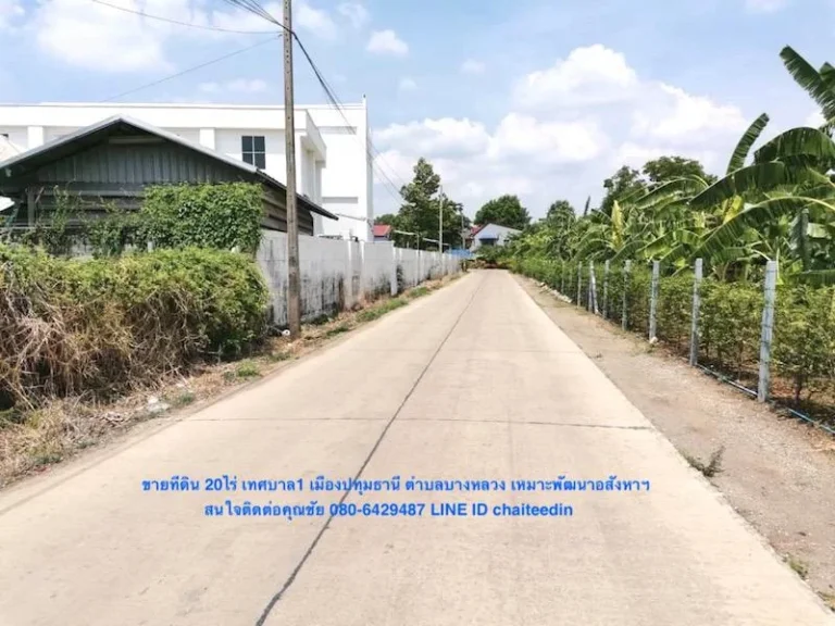 ขายที่ดินเทศบาล1 เมืองปทุมธานี เนื้อที่ 20ไร่ บางหลวง