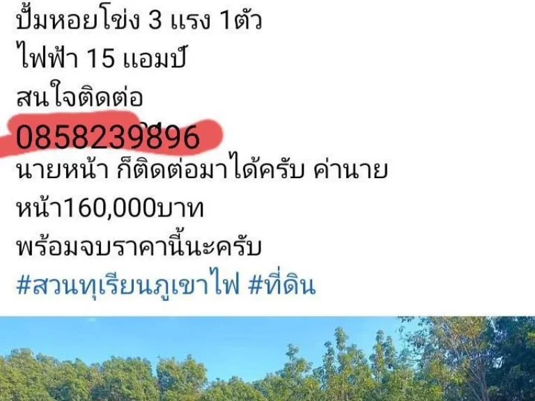 ขายที่ดินแดงไร่ภูเขาไฟ โฉนด13ไร่ละ430000พร้อมโอนครับ มีพร้อมครบเลย สนใจดูที่ดิน0858239896 ขายด่วนราคาหาไม่ได้แล้วครับ