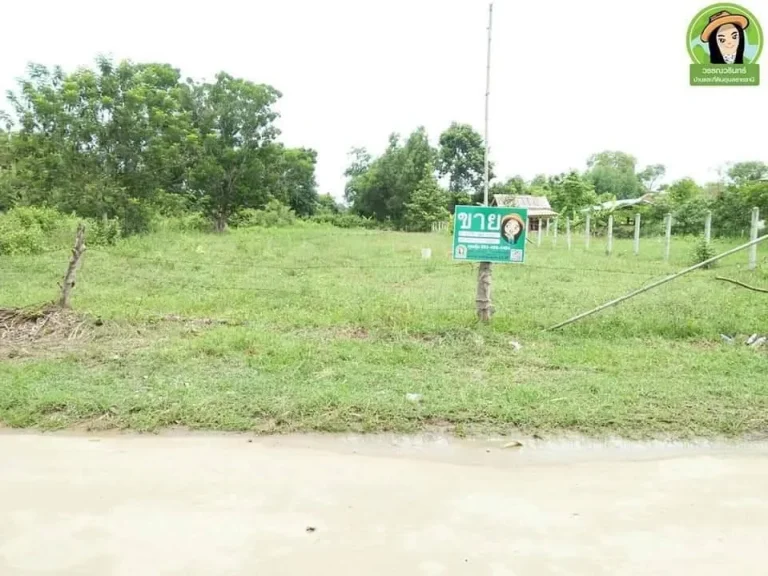 ที่ดินสร้างบ้านใกล้ตลาดกุดชุมยโสธร