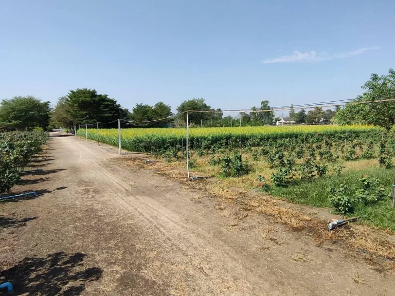 ที่ดินสำหรับทำบ้านสวนเกษตรแปลงเล็กน่ารักในเมืองที่อากาศดี๊ดี ค