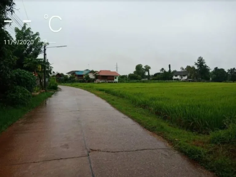 ที่ดิน 50 ไร่ ใกล้สถานีรถไฟหนองคาย ตมีชัย เมืองหนองคาย