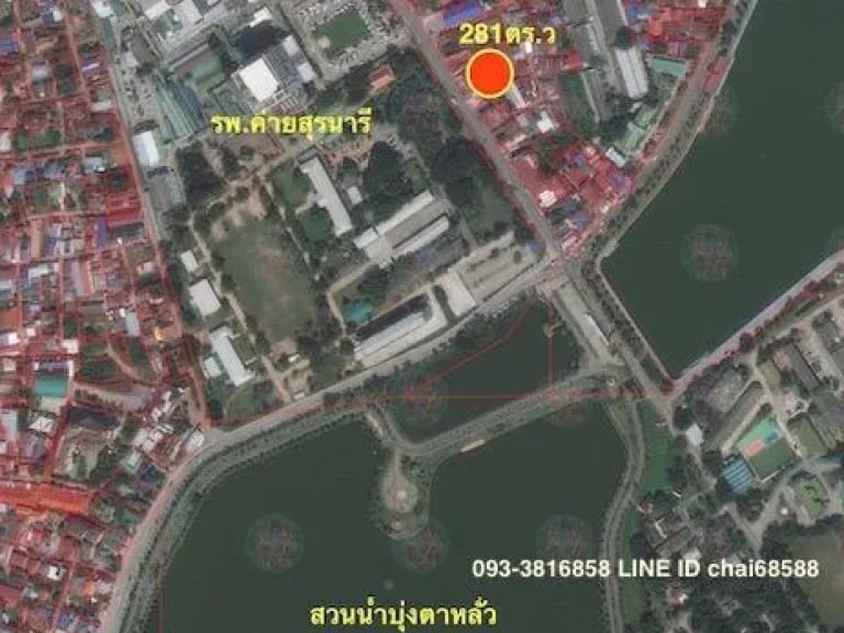 ขายที่ดิน 281ตรวใกล้บุ่งตาหลั่ว ติดถนนพิบูลละเอียด