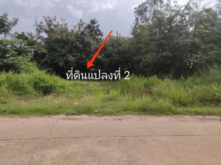 ที่ดินสร้างบ้านพิกัดบ้านดอนแรด 520000