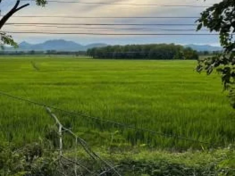 ขายที่ดิน สวย ติดถนนหลวง 21 เนื้อที่ 8ไร่ อเมืองเพชรบูรณ์ จเพชรบูรณ์