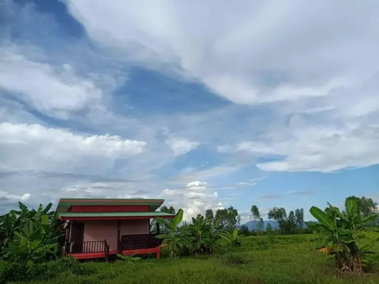 L262 ขายบ้านพร้อมที่ดินถมแล้ว 3ไร่ เกาะโพธิ์ ปากพลี นครนายก บรรยากาศดี วิวภูเขาสวย ใกล้ตัวเมืองนครนายกเพียง 5 กม