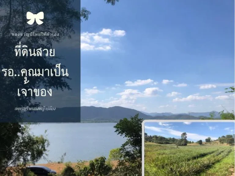 แบ่งขายที่ดินเพชรบุรี หนองหญ้าปล้อง ราคาถูกเจ้าของขายเองเริ่มต้นที่ 200 ตรว