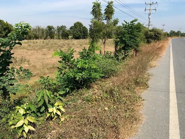 ขายที่ดินสวย 5-3-20 ไร่ ติดถนนดำ อหนองหญ้าไซ จสุพรรณบุรี เนื้อที่ 5 ไร่ 320 ตรว