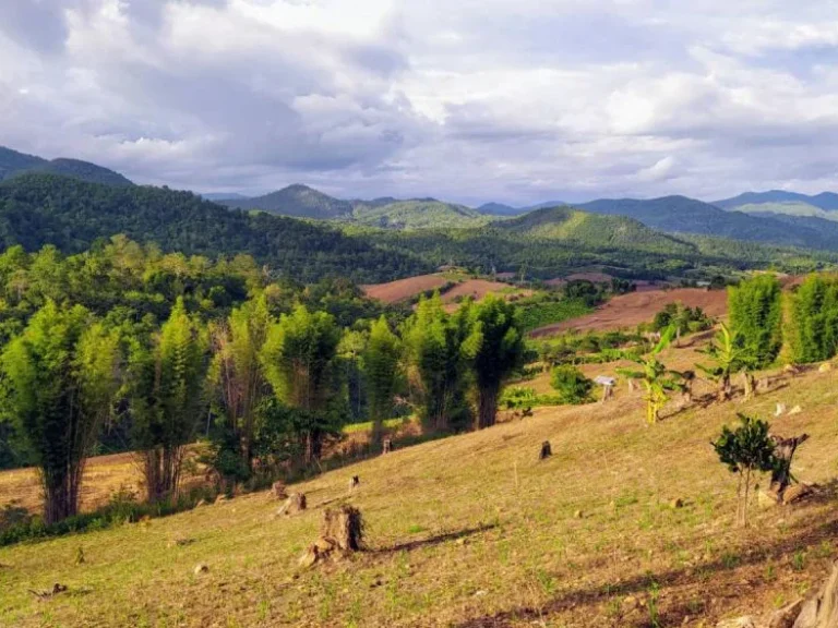 ที่ดินวิวภูเขาสวยที่สุดในปาย