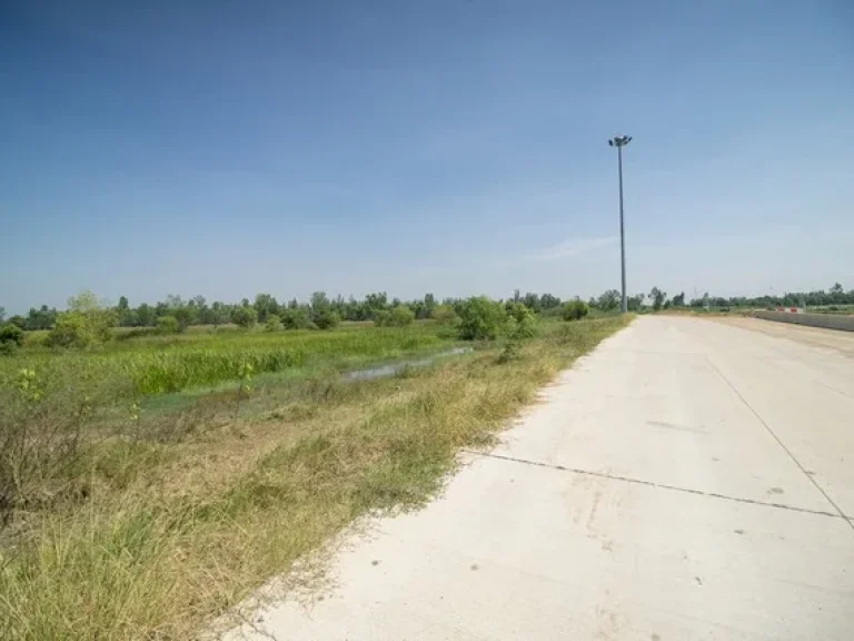 ขาย ที่ดินวังน้อย ลำตาเสา ติดมอเตอร์เวย์ สายใหม่ บางปะอิน - โคราช อยุธยา