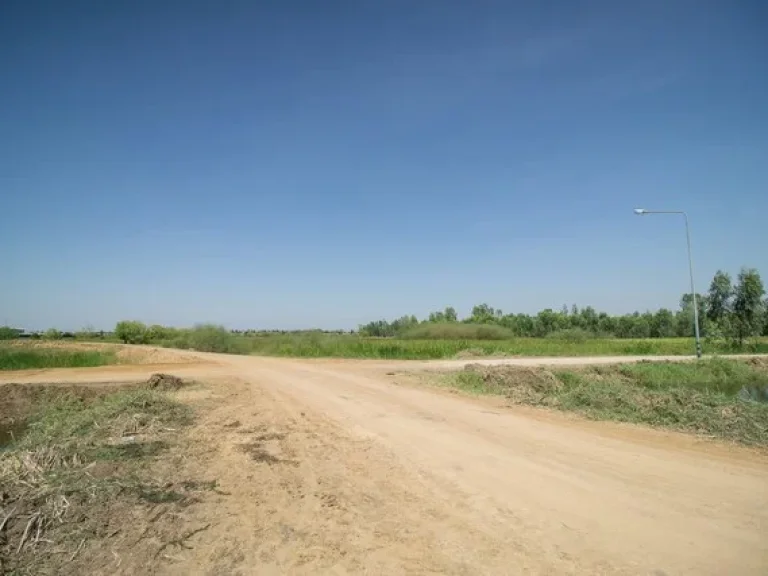 ขาย ที่ดินวังน้อย ลำตาเสา ติดมอเตอร์เวย์ สายใหม่ บางปะอิน - โคราช อยุธยา