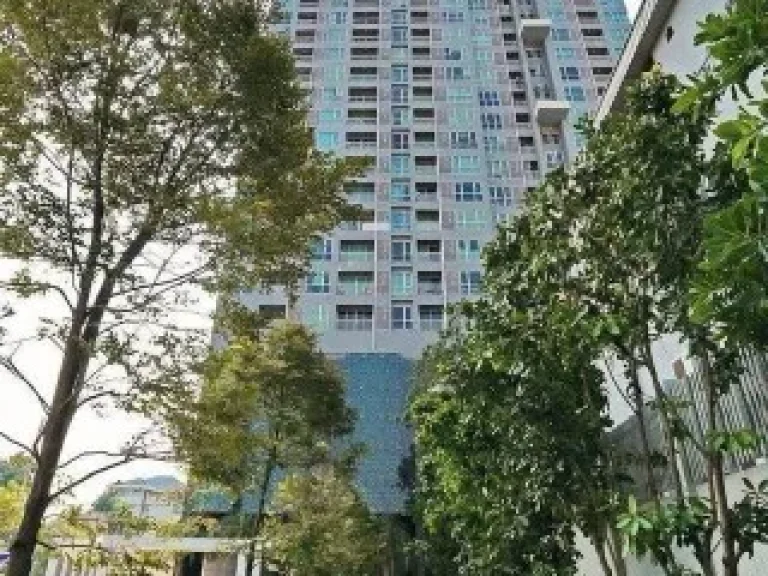 Condo for rent Rhythm Sukhumvit 50 Size 45 sqm 1 bedroom 1 bathroom on 33rd floor