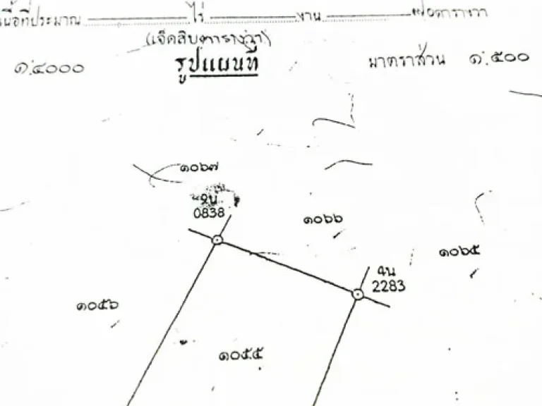 ขายบ้านเดี่ยว 1 ชั้น 70 ตรว หมู่บ้านธาราพฤกษ์ บางช้าง สามพราน นครปฐม HM0150