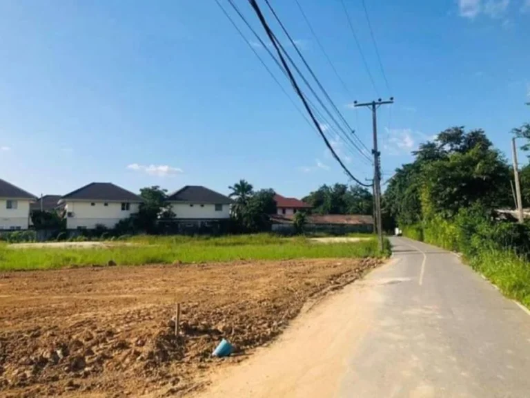 ขายที่ดินสันปูเลยติดถนนค้าขายได้ ถนนคอนกรีตราคาถูก