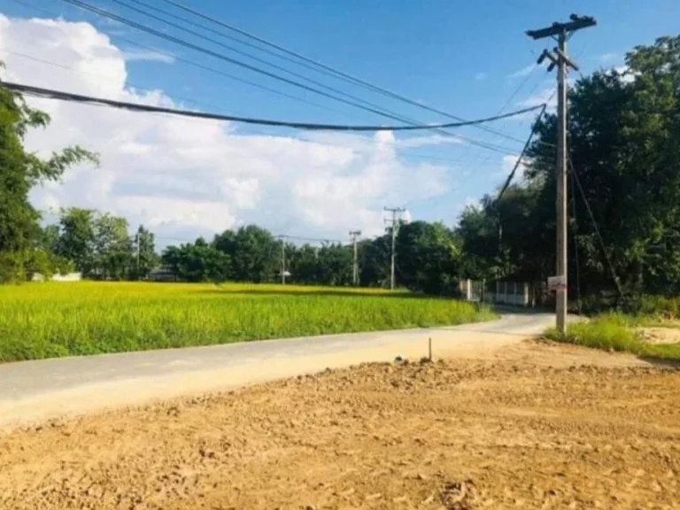 ขายที่ดินสันปูเลยติดถนนค้าขายได้ ถนนคอนกรีตราคาถูก