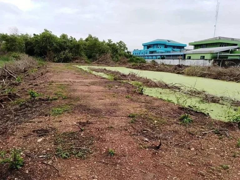 แบ่งขาย ที่ดินหลังโรงพยาบาลคลองหลวง คลอง6 จปทุมธานี