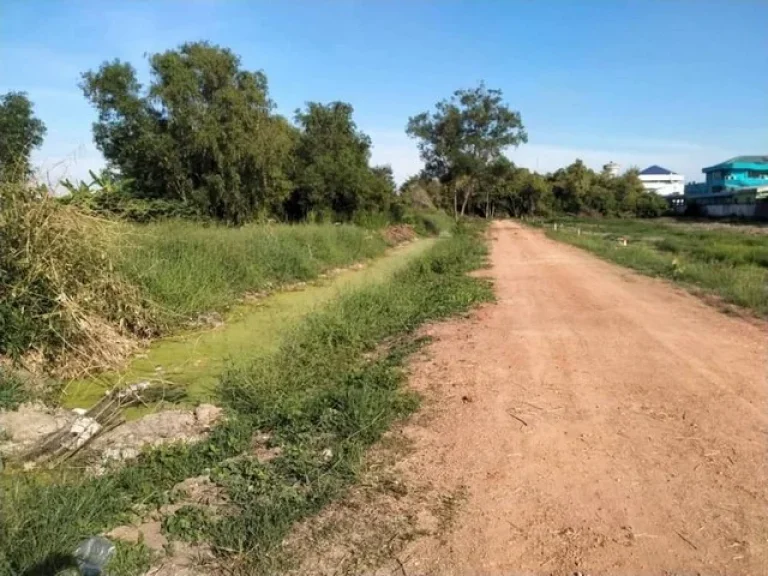 แบ่งขาย ที่ดินหลังโรงพยาบาลคลองหลวง คลอง6 จปทุมธานี