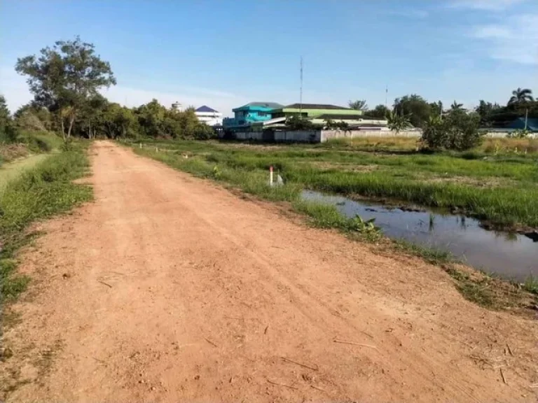 แบ่งขาย ที่ดินหลังโรงพยาบาลคลองหลวง คลอง6 จปทุมธานี