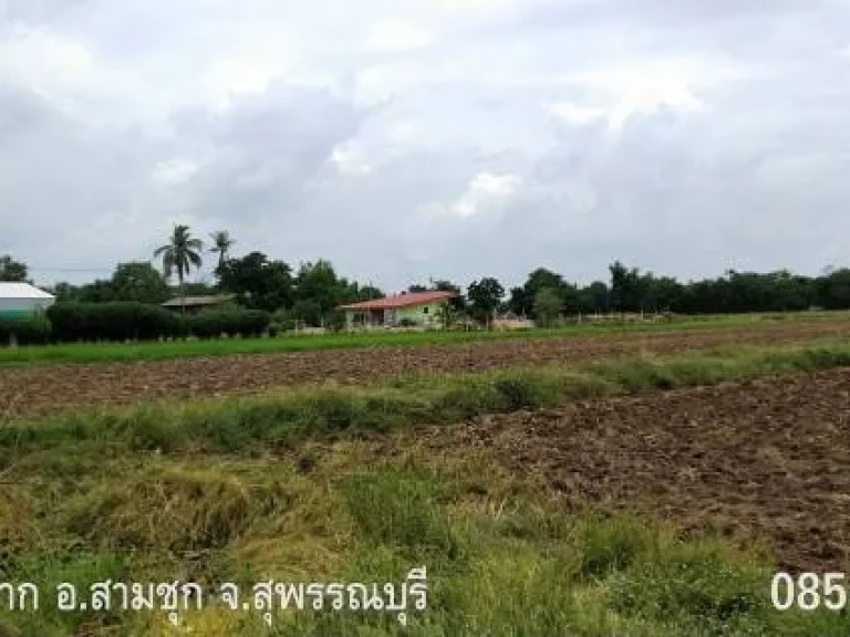 ขายที่ดินโฉนด ตหนองผักนาก อสามชุก จสุพรรณบุรี