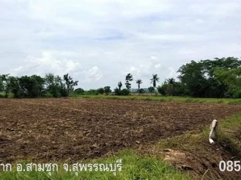 ขายที่ดินโฉนด ตหนองผักนาก อสามชุก จสุพรรณบุรี