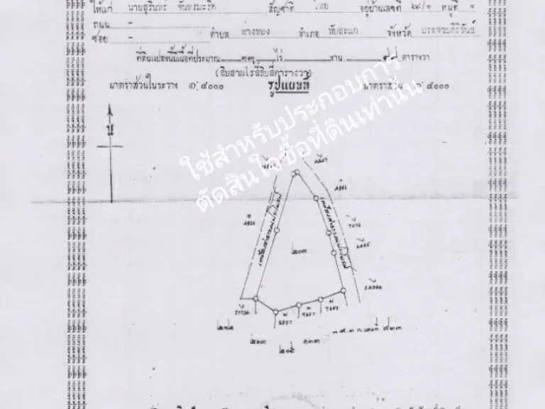 ขายที่ดินฉโนดพร้อมสวนยางกรีดได้13ไร่