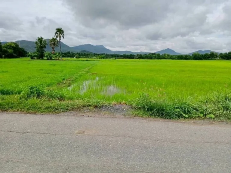 ขายที่นาติดถนนแถวร้องวัวแดง วิวดอย ติดลำเหมือง ราคาถูก