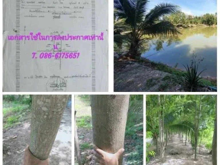 ขายที่ดินพร้อมสิ่งปลูกสร้าง บ้านพักรีสอร์ท อำเภอวิหารแดง จังหวัดสระบุรี