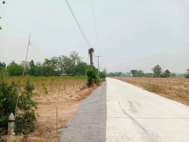 ขายที่ดิน 42 ไร่ ติดถนนสาธารณะ ใกล้เเหล่งชุมชน สุพรรณบุรี