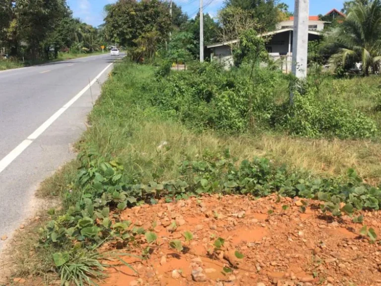 ที่ดินโซนท่าข้ามติดถนนหลักท่าข้าม