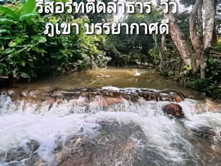 ขายสวนทุเรียนหมอนทอง 18 ไร่ ทรงพุ่มสวย พร้อมบ้าน ติดลำธารใส