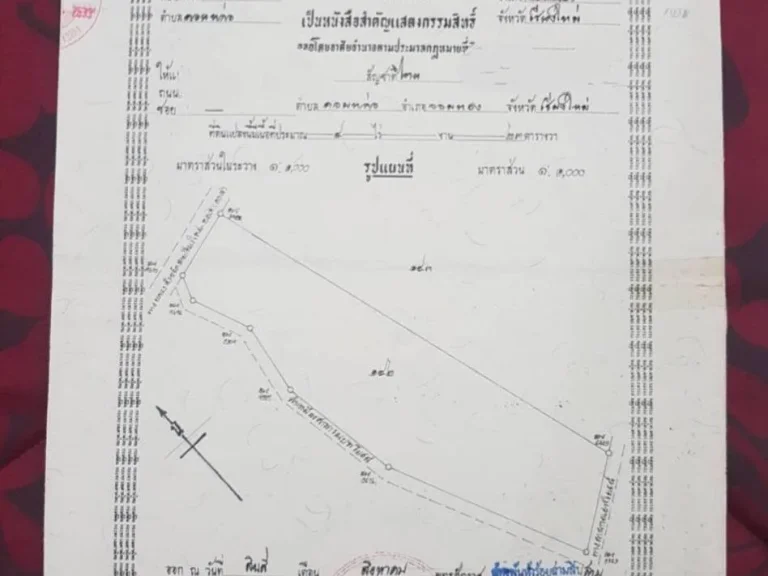 ขายที่ดิน 9 ไร่ 2 งาน 85 ตารางวา