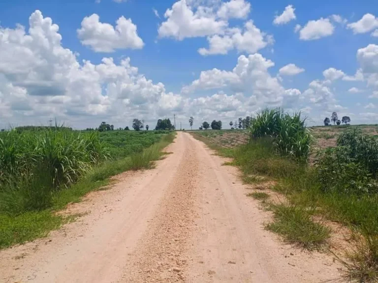 ขายที่ดิน ไร่อ้อย ราคาประเมินดี ขายโครตถูก สุพรรณ