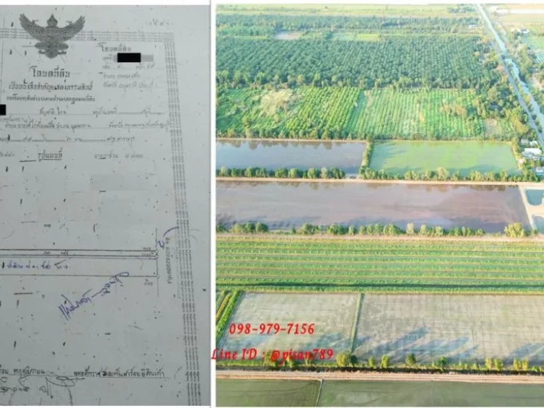 ขายที่ดิน 78 ไร่ 3 งาน 31 ตารางวาหนองเสือ ปทุมธานี ผังสีชมพู