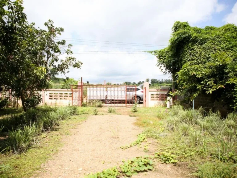 ขายบ้านเดี่ยวสวนตัว House for sale in Maesod Tambon Maekasa Baan Mai Lai Ta 