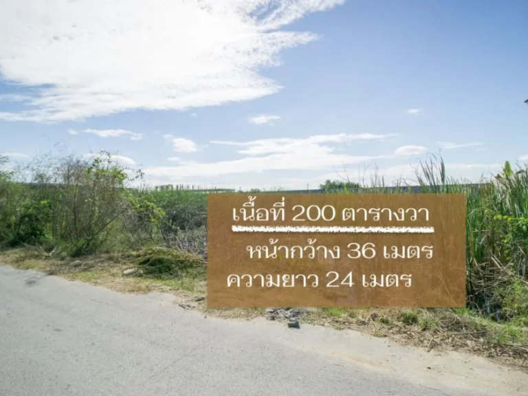 ขายที่ดิน ซอยบงกช 8 ตำบลคลองสอง อำเภอคลองหลวง ปทุมธานี เนื้อที่ 200 ตรว