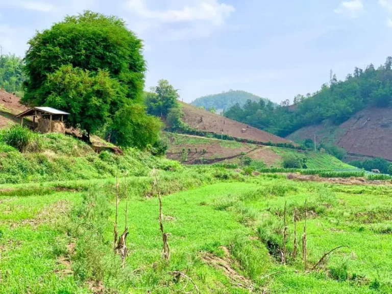 ขายที่ดินติดลำเหมืองไหลผ่าน แม่แจ่ม ท่าผา ราคาถูก