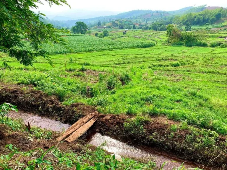 ขายที่ดินติดลำเหมืองไหลผ่าน แม่แจ่ม ท่าผา ราคาถูก