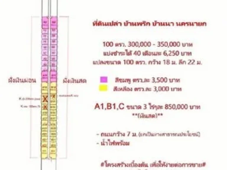 ด่วนเปิดจองแล้ววันนี้ ที่ดินแปลงละ 100 ตรว มีหลายแปลง ราคาพิเศษ ตบ้านพริก อบ้านนา นครนายก