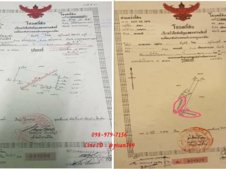 ขายที่ดิน 14 ไร่ 3 งาน 65 ตรว ตำบลพรหมณี นครนายก ที่ดินถมแล้ว วิวภูเขา ผังสีชมพู